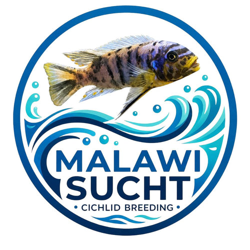 Malawisucht